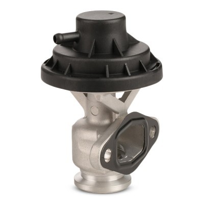 AGR-Ventil RIDEX 1145E0156 1145E0156 - foto 5