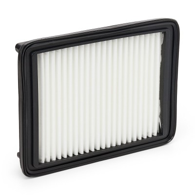 Luftfilter RIDEX 8A0847 8A0847 - foto 8