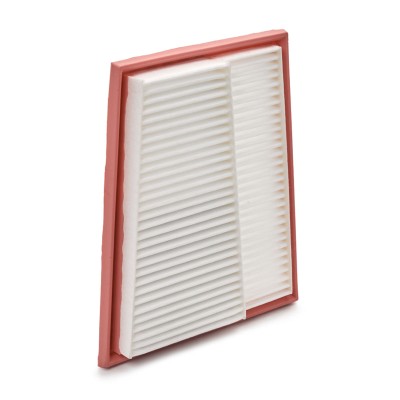 Luftfilter RIDEX 8A0643P 8A0643P - foto 2