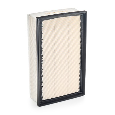 Luftfilter RIDEX 8A0160 8A0160 - foto 8