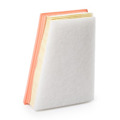 Luftfilter RIDEX 8A0251 8A0251 - foto 9