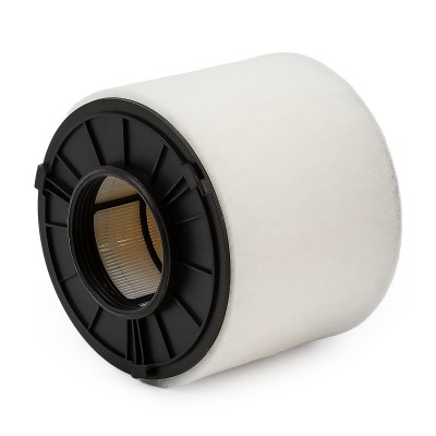 Luftfilter RIDEX 8A0812 8A0812 - foto 9