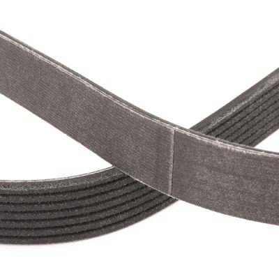 Keilrippenriemen RIDEX 305P0344P 305P0344P - foto 5