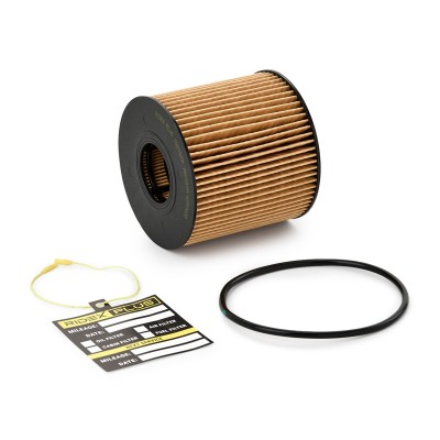 Ölfilter RIDEX 7O0101P 7O0101P - foto 2