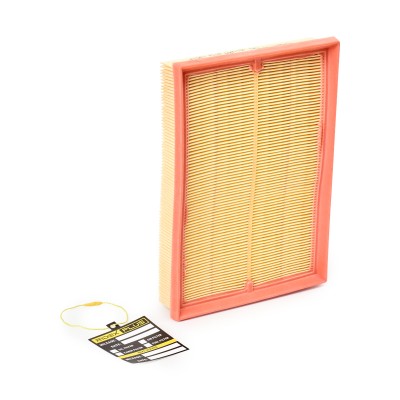 Luftfilter RIDEX 8A0110P 8A0110P - foto 2