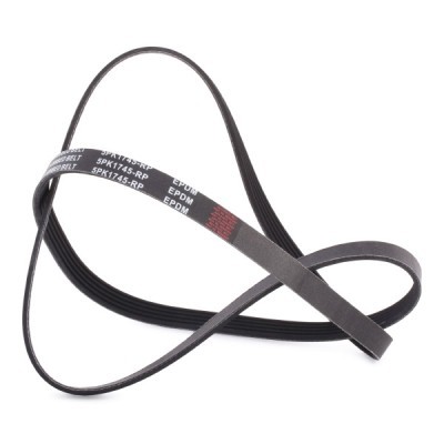 Keilrippenriemen RIDEX 305P0160P 305P0160P - foto 3
