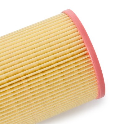 Luftfilter RIDEX 8A0137P 8A0137P - foto 5