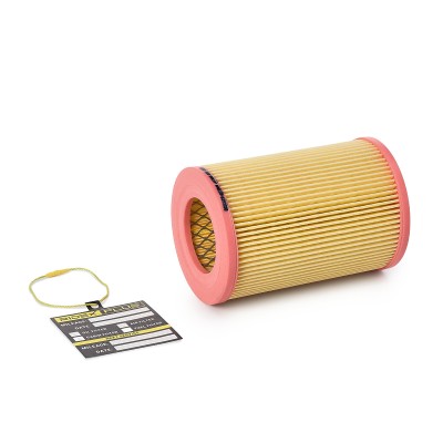 Luftfilter RIDEX 8A0137P 8A0137P - foto 2