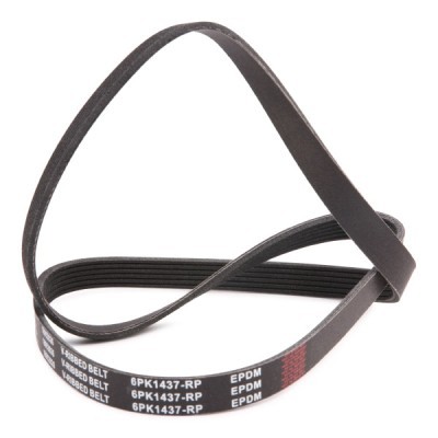 Keilrippenriemen RIDEX 305P0154P 305P0154P - foto 3