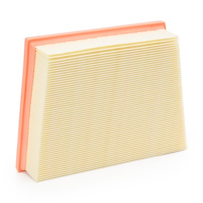 Luftfilter RIDEX 8A0866 8A0866 - foto 9