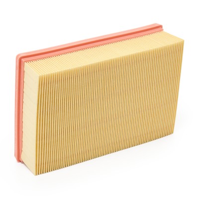 Luftfilter RIDEX 8A0350P 8A0350P - foto 3