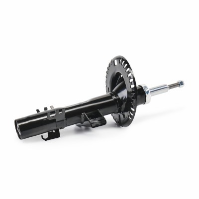 Stoßdämpfer RIDEX 854S18966 854S18966 - foto 4