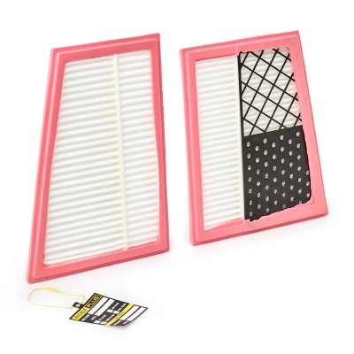Luftfilter RIDEX 8A0098P 8A0098P - foto 2