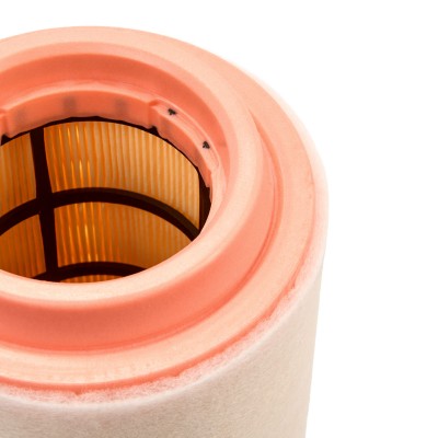 Luftfilter RIDEX 8A0322 8A0322 - foto 10