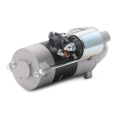 Anlasser RIDEX 2S0169 2S0169 - foto 4