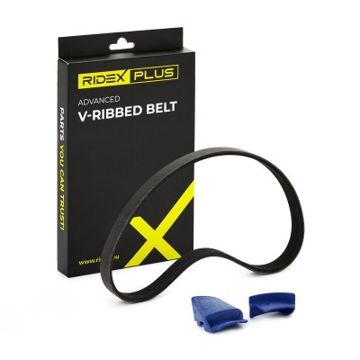 Keilrippenriemen RIDEX 305P0498P 305P0498P - foto 2