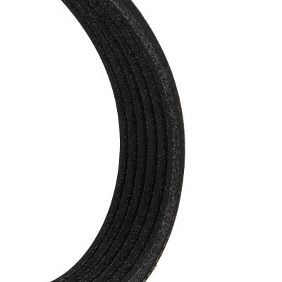 Keilrippenriemen RIDEX 305P0484P 305P0484P - foto 4