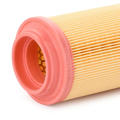 Luftfilter RIDEX 8A0119 8A0119 - foto 9