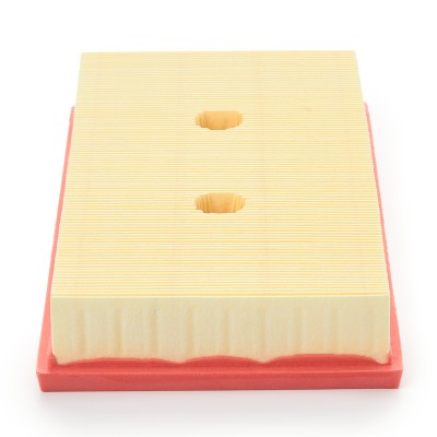 Luftfilter RIDEX 8A0038P 8A0038P - foto 9