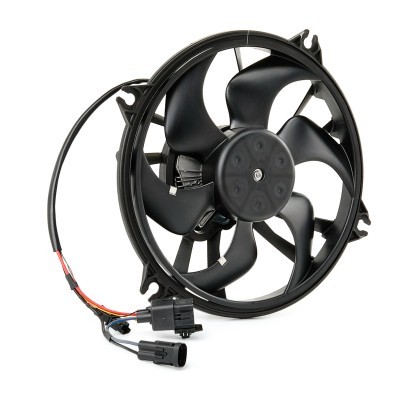 Lüfter, Motorkühlung RIDEX 508R0149 508R0149 - foto 2