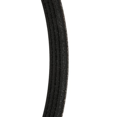 Keilrippenriemen RIDEX 305P0606P 305P0606P - foto 5