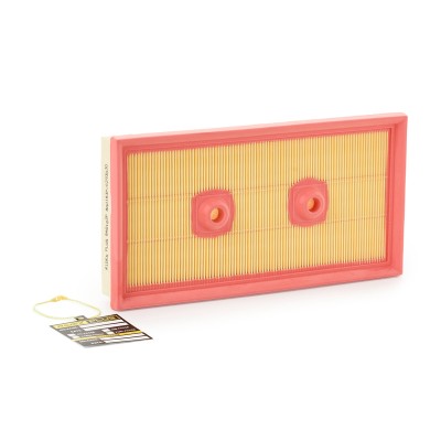 Luftfilter RIDEX 8A0038P 8A0038P - foto 7