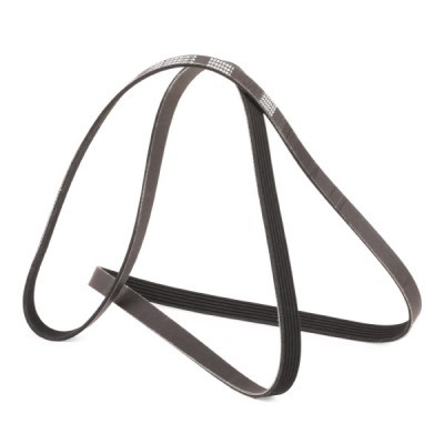 Keilrippenriemen RIDEX 305P0158P 305P0158P - foto 3