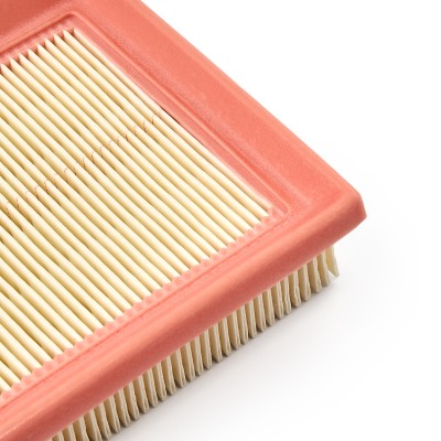 Luftfilter RIDEX 8A0462 8A0462 - foto 10