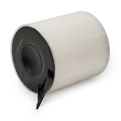 Luftfilter RIDEX 8A0145 8A0145 - foto 9