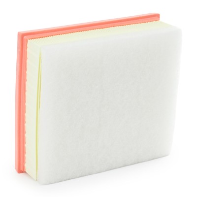 Luftfilter RIDEX 8A0282 8A0282 - foto 10