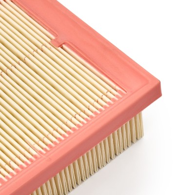 Luftfilter RIDEX 8A0689 8A0689 - foto 10