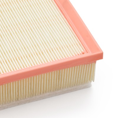Luftfilter RIDEX 8A0998 8A0998 - foto 9