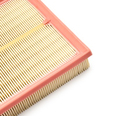 Luftfilter RIDEX 8A0110 8A0110 - foto 8