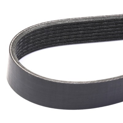 Keilrippenriemen RIDEX 305P0310 305P0310 - foto 3