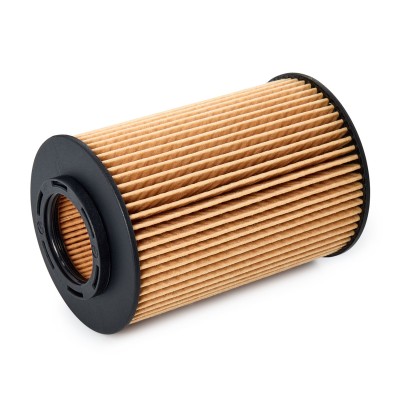 Ölfilter RIDEX 7O0118P 7O0118P - foto 3