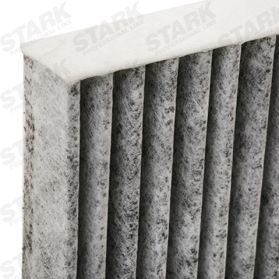 Filter, Innenraumluft Stark SKIF-0170466 SKIF-0170466 - foto 5