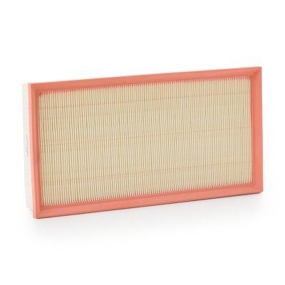 Luftfilter RIDEX 8A0998 8A0998 - foto 7