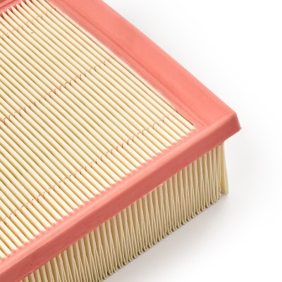 Luftfilter RIDEX 8A0350 8A0350 - foto 10