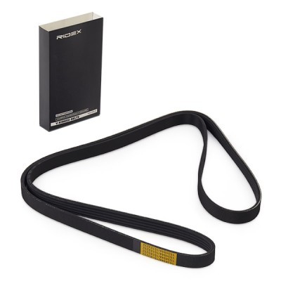 Keilrippenriemen RIDEX 305P0427 305P0427 - foto 2