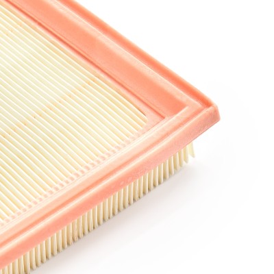 Luftfilter RIDEX 8A0043 8A0043 - foto 10