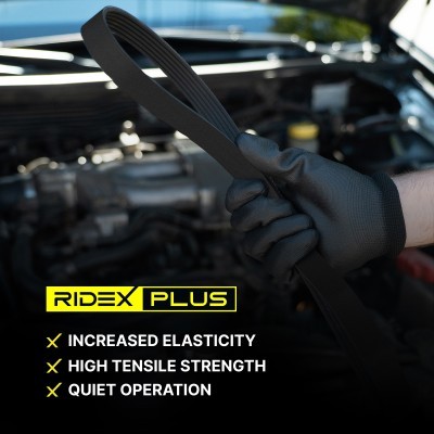 Keilrippenriemen RIDEX 305P0420P 305P0420P - foto 10