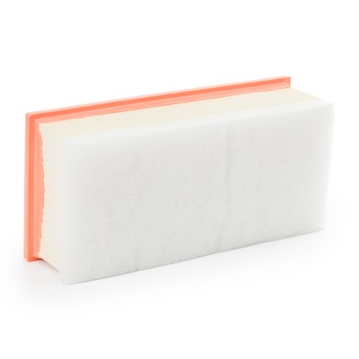 Luftfilter RIDEX 8A0050 8A0050 - foto 10