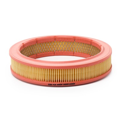 Luftfilter RIDEX 8A0009P 8A0009P - foto 4