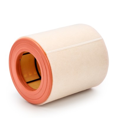 Luftfilter RIDEX 8A0435 8A0435 - foto 8