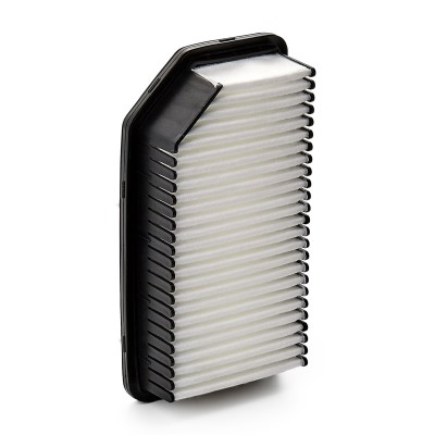 Luftfilter RIDEX 8A0191 8A0191 - foto 9