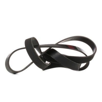 Keilrippenriemen RIDEX 305P0310 305P0310 - foto 4