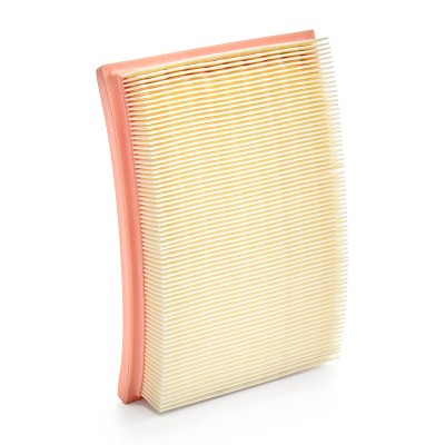 Luftfilter RIDEX 8A0043 8A0043 - foto 9