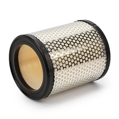 Luftfilter RIDEX 8A0106 8A0106 - foto 8
