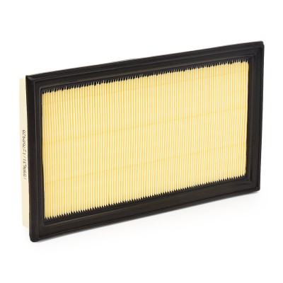 Luftfilter RIDEX 8A0756 8A0756 - foto 8