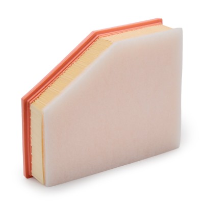 Luftfilter RIDEX 8A0874 8A0874 - foto 9